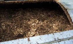 Waste Management